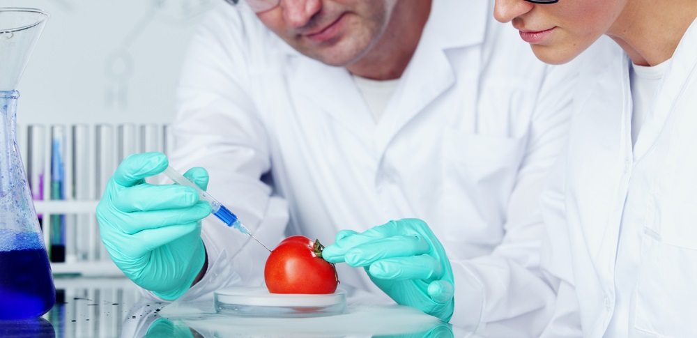 engenheiro de alimentos analisando um tomate